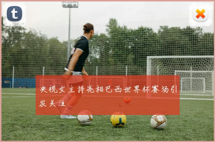 央视女主持亮相巴西世界杯赛场引发关注